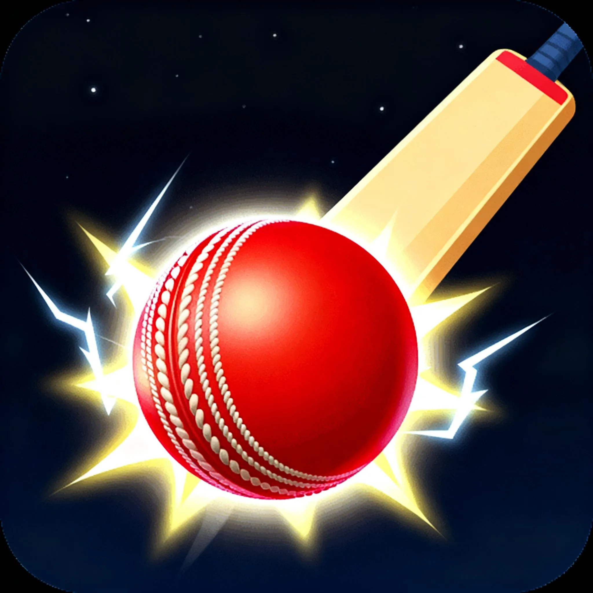 シティクリケット  